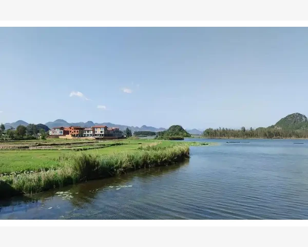 寒热错杂之道：中医调理的智慧