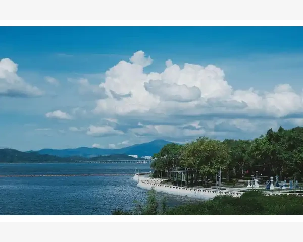 大姨妈期间喝水果茶，中医保健好帮手！